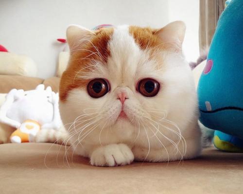 ֯ȫۼ¹ȷﲡ79673754